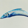 Laura Hoek: Haring 25-10 (2025), acrylinkt op board, 13 x 18 cm. 125 euro