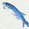 Laura Hoek: Haring 25-12 (2025), acrylinkt op papier, 7 x 7 cm. 32,50 euro