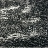 Nachtlandschap (2019) ets proefdruk 15 x 20 cm