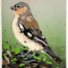 Lenneke Saraber: Vink (2025), linodruk 2/3, 30 x 21 cm. 95 euro