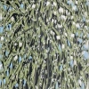 Voorjaarsbloesem (proefdruk) 2000, linodruk, 96 x 51 cm