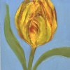 Maartje Strik: Gele tulp, olieverf op paneel, 12 x 10 cm. 95 euro