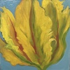 Maartje Strik: Papegaaitulp, olieverf op paneel, 10 x 10 cm. 95 euro