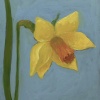 Maartje Strik: Narcisje, olieverf op paneel, 12 x 10 cm. 95 euro