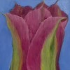 Maartje Strik: Alladintulp (2024), olieverf op paneel, 25 x 18 cm. 225 euro