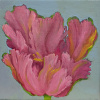 Maartje Strik: Rose tulp (2024), olieverf op linnen, 23 x 23 cm. 300 euro
