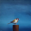 Marc van der Zwet: Standbeeld van distelvink, olieverf op mdf, 19 x 19 cm. 400 euro