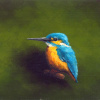 Marc van der Zwet: IJsvogel op takje op groen, olieverf op eiken paneel, 10 x 14 cm. 320 euro