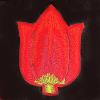 Marianne Aulman: Broche tulp, mixed media, 7 x 5 cm. 35 euro