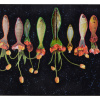 Marianne van Heeswijk: Real FlowerFish (2026), mixed media, 45 x 80 cm. 735 euro