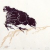Kuiken eten, houtsnede en materiaaldruk 5/10,  31 x 31 cm