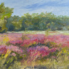 Marleen Bakker: Heide in de Dennen (2025), olieverf op paneel, 43 x 53 cm. 725 euro