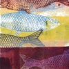 Maurice Christo van Meijel: Noordzeevis III, monoprint, 77 x 30 cm. 500 euro