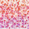 Maurice Christo van Meijel: Muurbloemen VII (2025) drukinkt op kunststof en draad, 80 x 110 x 20 cm. 2.400 euro