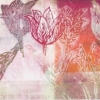 Maurice Christo van Meijel: Tulpen I (2017) monoprint, 30 x 77 cm. 500 euro