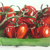 Maurice Christo van Meijel: Tomaten II (2025) aquarel op papier, 33 x 43 cm. 200 euro
