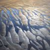 Mike Woning: Here I see, olieverf op doek, 60 x 80 cm. 1.260 euro