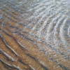 Mike Woning: Strandtekening, olieverf op paneel, 26,5 x 20,5 cm. 445 euro