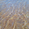Mike Woning: Warm ripples, olieverf op paneel, 32,5 x 26,5 cm. 610 euro