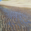 Mike Woning: Harbouring the sky, olieverf op paneel, 32,5 x 42,5 cm. 730 euro