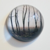 4-Waarneming in glazen bol, fotoprint, diameter 15 cm