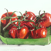 VERKOCHT Maurice Christo van Meijel: Tomaten II (2025) aquarel op papier, 33 x 43 cm. 200 euro