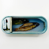 Ortaire de Coupigny: Sardineblikje (small), mixed media, 6 x 16 x 3 cm. 145 euro