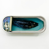 Ortaire de Coupigny: Sardineblikje (small), mixed media, 6 x 16 x 3 cm. 145 euro