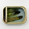 Ortaire de Coupigny: Sardineblikje (small), mixed media, 8 x 11 x 3 cm. 145 euro