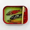 Ortaire de Coupigny: Sardineblikje (small), mixed media, 8 x 11 x 3 cm. 145 euro