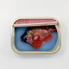Ortaire de Coupigny: Sardineblikje (small), mixed media, 8 x 11 x 3 cm. 145 euro