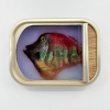 Ortaire de Coupigny: Sardineblikje (small), mixed media, 8 x 11 x 3 cm. 145 euro