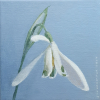 Sanne Kuiper: Droppie (2024), acryl op doek, 19 x 19 cm. 175 euro