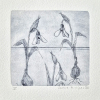 Sanne Kuiper: Lentefeestje (2026), droge naald en aquarel II, 16,5 x 16,5 cm. 65 euro