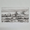 Sanne Kuiper: Met de wind mee (2026), droge naald en inkt V, 13 x 17,5 cm. 55 euro