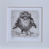 Sanne Kuiper: Puber (2026), droge naald en inkt II, 12,5 x 12,5 cm. 50 euro