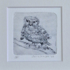 Sanne Kuiper: Punk (2026), droge naald en inkt III, 12,5 x 12,5 cm. 50 euro