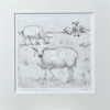 Sanne Kuiper: Schapen op de dijk (2026), droge naald en aquarel I, 16,5 x 16,5 cm. 65 euro