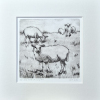 Sanne Kuiper: Schapen op de dijk (2026), droge naald II, 16,5 x 16,5 cm. 65 euro