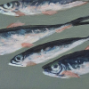 Sanne Kuiper:Zwemmen III (2026), acryl op doek, 10 x 20 cm. 165 euro