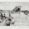 Sanne Kuiper: Boet en hooi (2025), droge naald VI, 13 x 17,5 cm. 65 euro