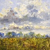 Sonja Brussen: Quiet field (2022) oleverf op doek, 24 x 30 cm. 485 euro