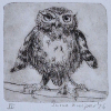 Sanne Kuiper: Puber (2026), droge naald en inkt II, 12,5 x 12,5 cm. 50 euro