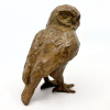 Arno Goossens: Steenuil, brons 1/12, 16 x 12 x 8 cm. 900 euro