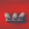 Marc van der Zwet: Drie boze steenuilen op rood (2026), olieverf op mdf, witte baklijst, 25,4 x 35,5 cm. 750 euro.
