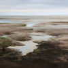 Stella Burggraaf: Laag water, olieverf op doek, 63 x 83 cm. 1.200 euro
