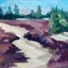 Iris Duchateau: Heide en zand (2024) olieverf op doek, 21 x 27 cm. 210 euro