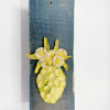 Wendy Limburg: Bloemen (2025), aardewerk op hout, 39 x 15 cm. 65 euro