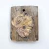 Wendy Limburg: Schelp op hout (2023) aardewerk, 10 x 8 cm. 30 euro