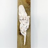 Wendy Limburg: Blad op hout (2023) aardewerk, 41 x 6 x 5 cm. 35 euro